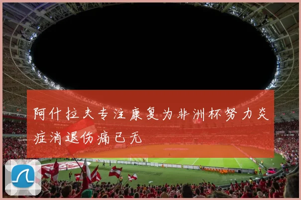 阿什拉夫专注康复为非洲杯努力炎症消退伤痛已无