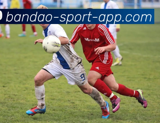 半岛体育APP 高清赛事图